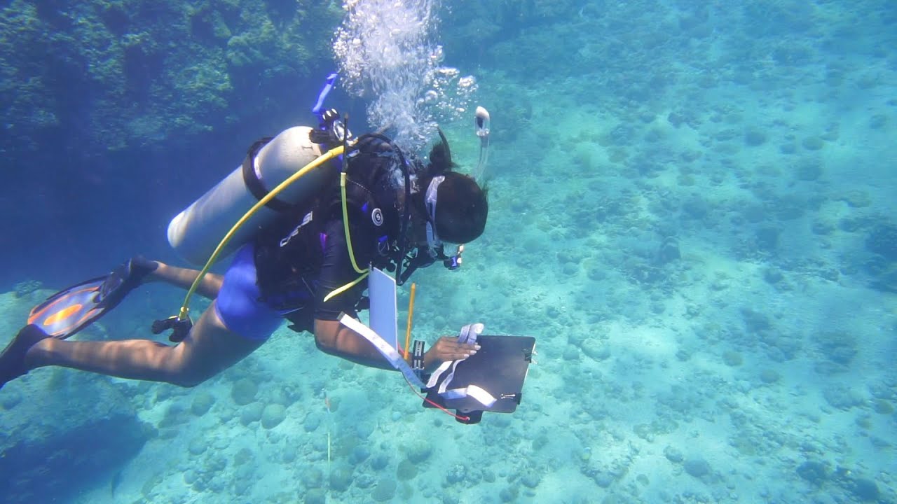 Seychelles: Women at the Forefront of Conservation