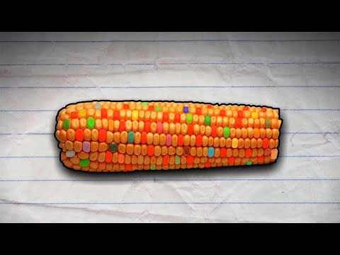 EU Parliament urges a rethink of our farming model