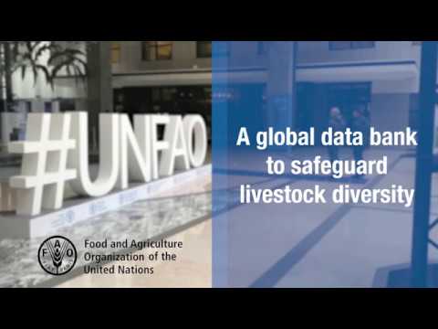 FAO Domestic Animal Diversity Information System (DAD-IS)
