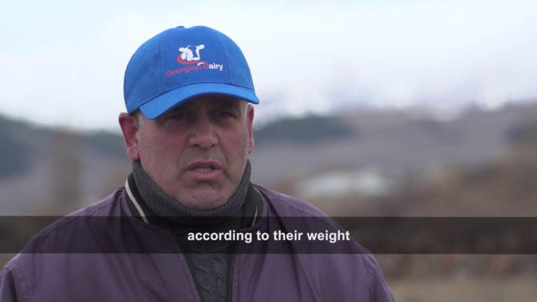 Georgian dairy on the up!