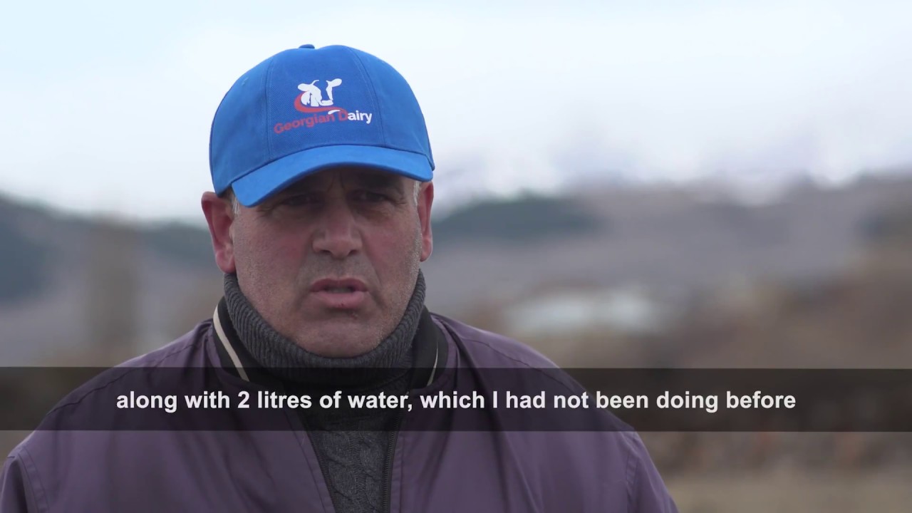 Supporting the industry: Georgian dairy on the up!