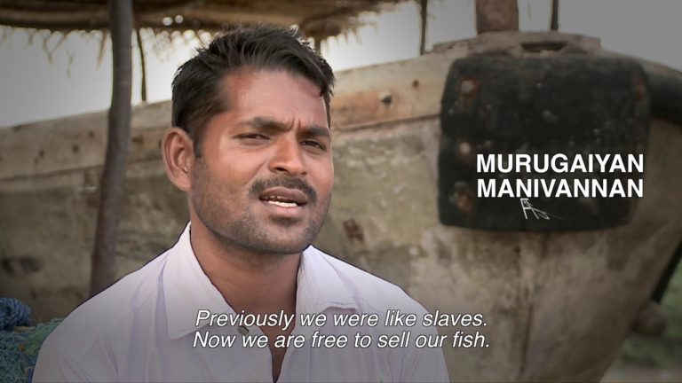 RURAL SOLUTION – Fish Marketing Societies in India