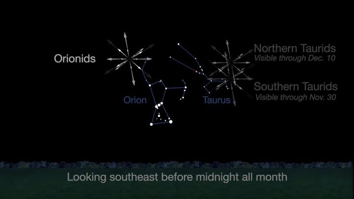 What’s up for November? Keep binoculars handy to view the mo…
