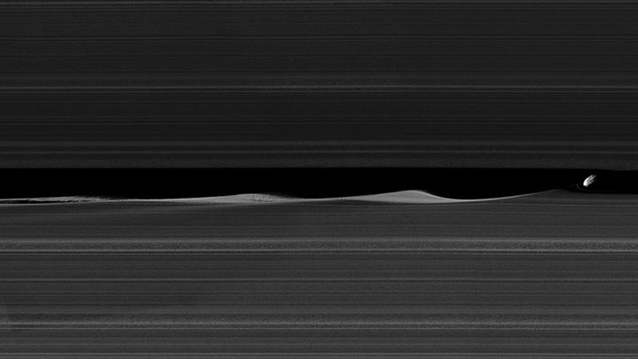 Daphnis, one of Saturn’s small ring-embedded moons, is seen here kicking up wave…