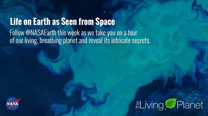 With 20 years of satellite data tracking life, scientists ha…