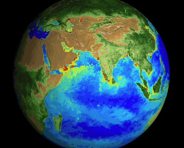 Whether its crops, forests or phytoplankton blooms in the oc…
