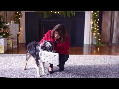 Coming soon, Christmas at the Vice President’s Residence