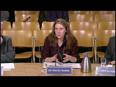 Education and Skills Committee – 29 November 2017