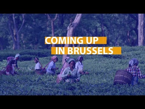 Coming up: from youth employment to the control of cash in the EU