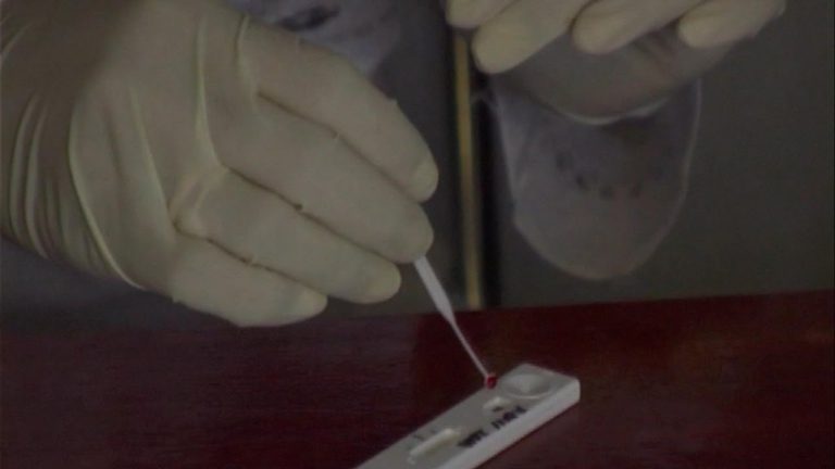 Progress in fight against malaria has stalled, UN report warns