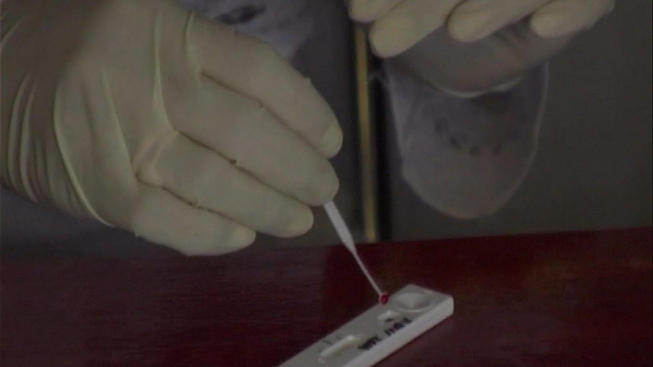 Progress in fight against malaria has stalled, UN report warns