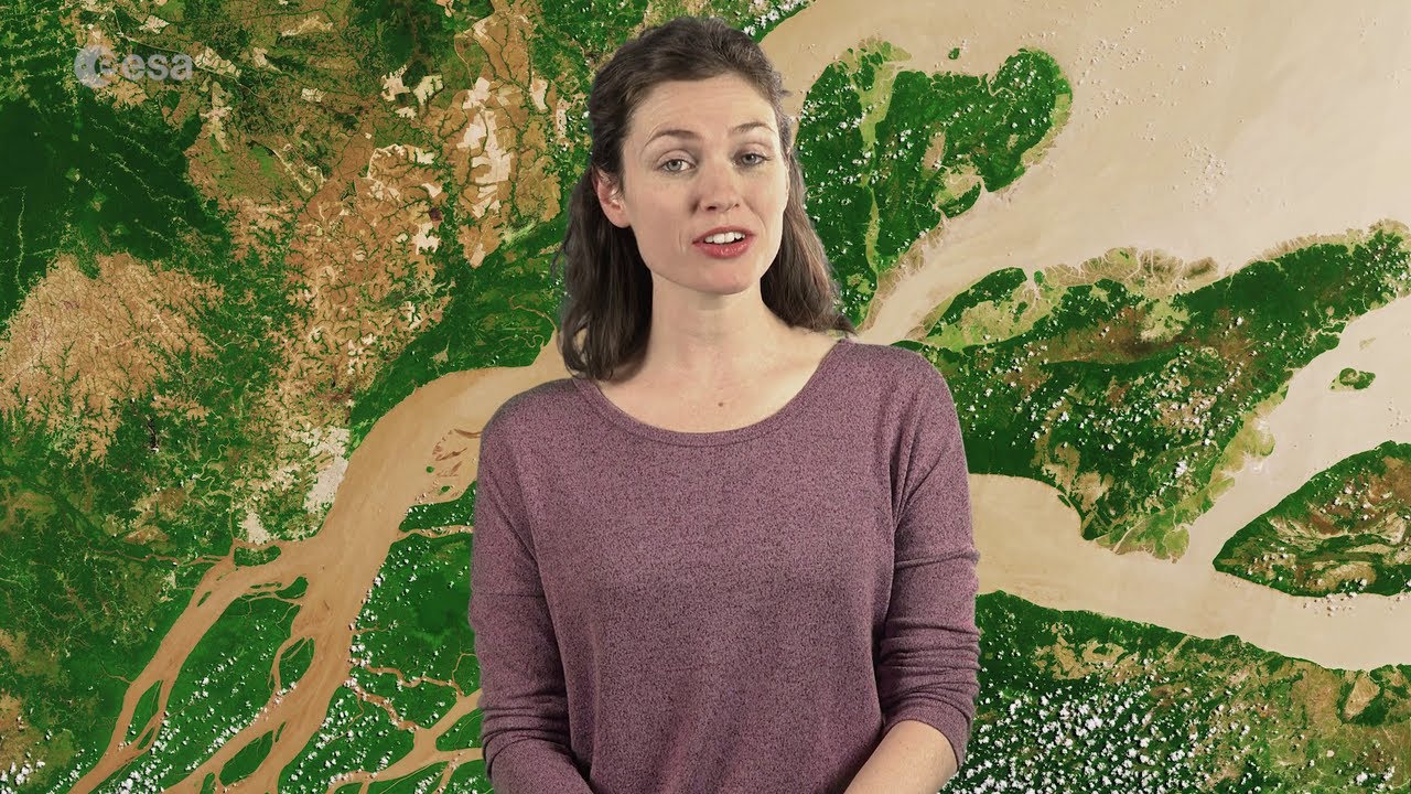 Earth from Space: Amazon River