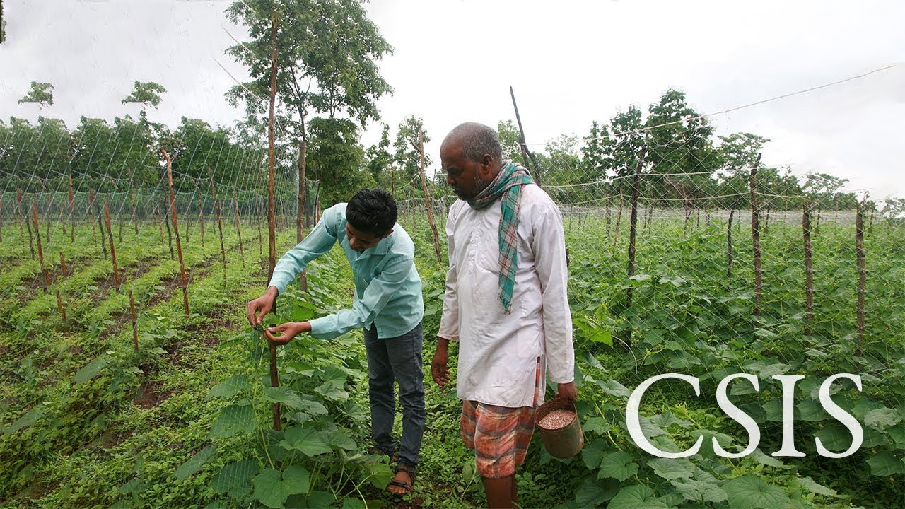 The Human Face of Trade and Food Security Report Launch
