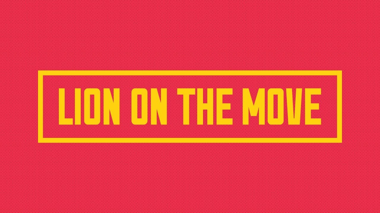 Lion on the Move: November 2017