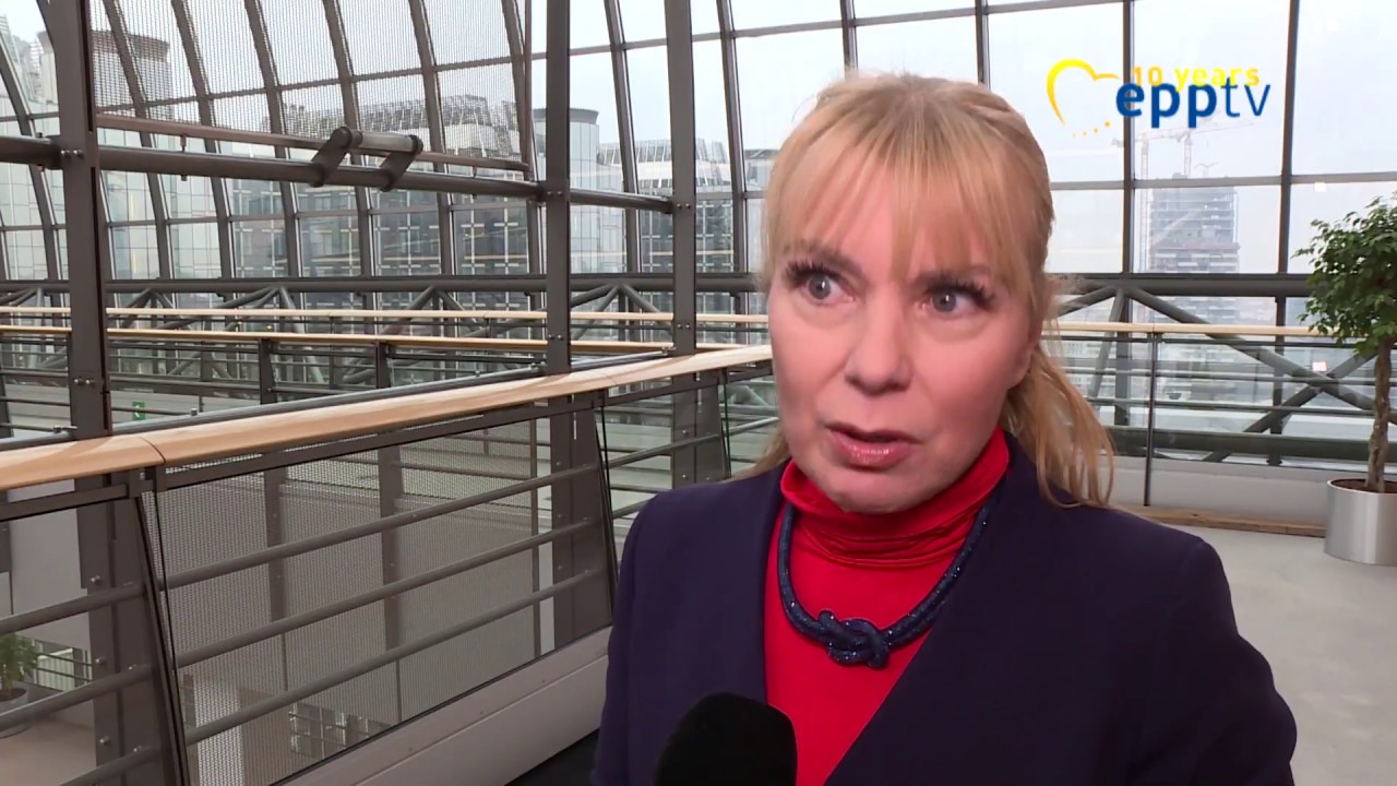 Common EU defence, economy, Erasmus