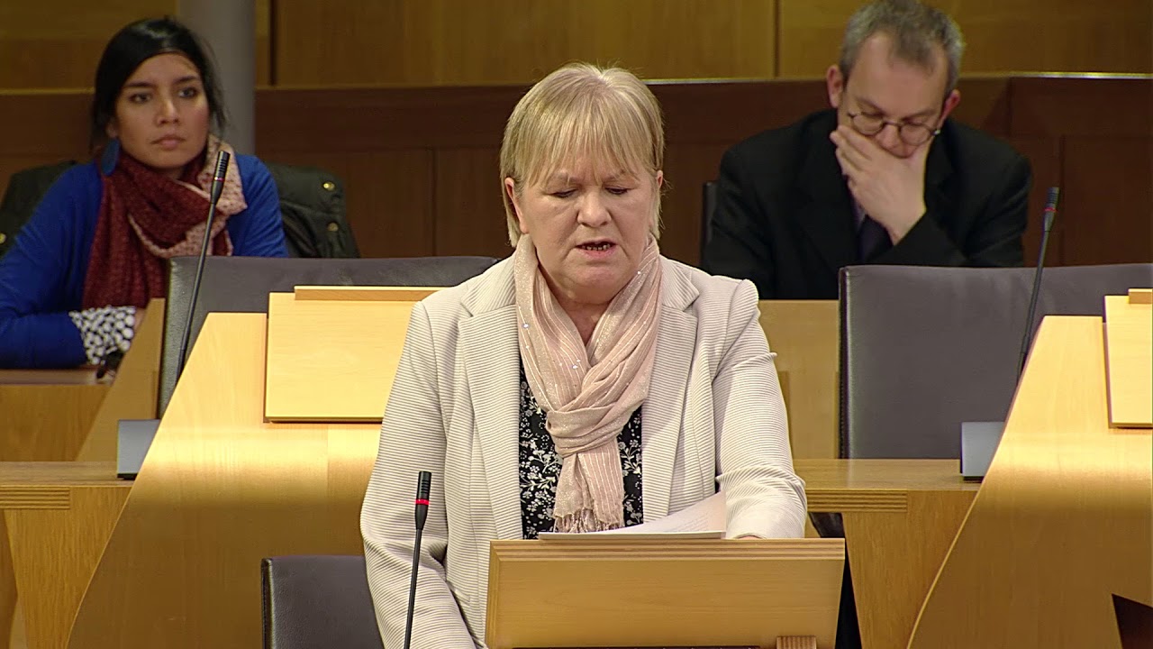 Debate: PE1517 Polypropylene Mesh Medical Devices – 5 December 2017