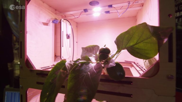 Astroplant introduction