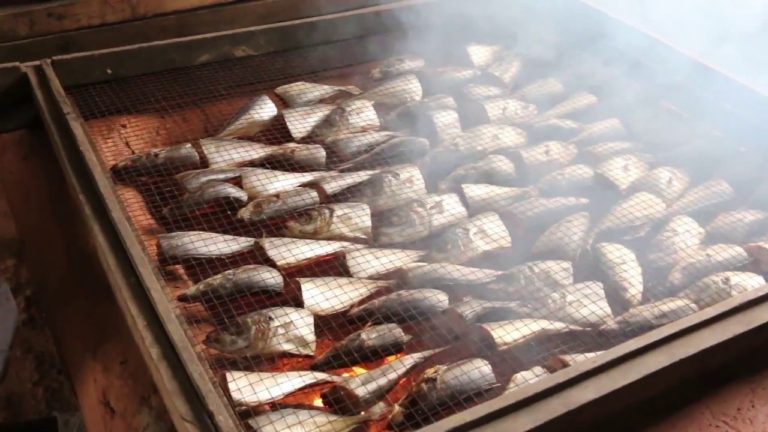 Experts Meeting in Fish Technology, Utilization and Quality Assurance f…