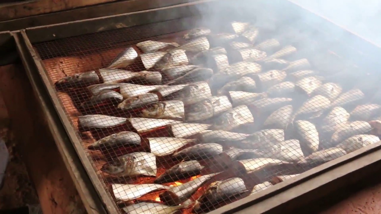 Experts Meeting in Fish Technology, Utilization and Quality Assurance f…