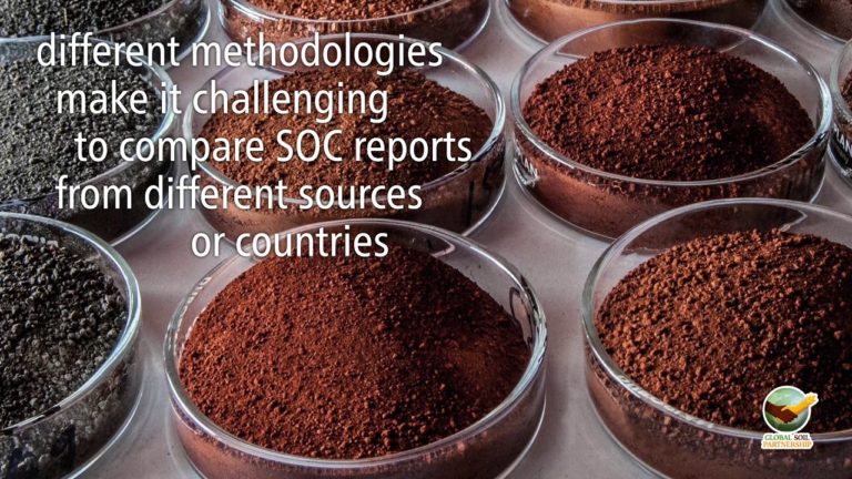 The Global Soil Organic Carbon Map V1.0