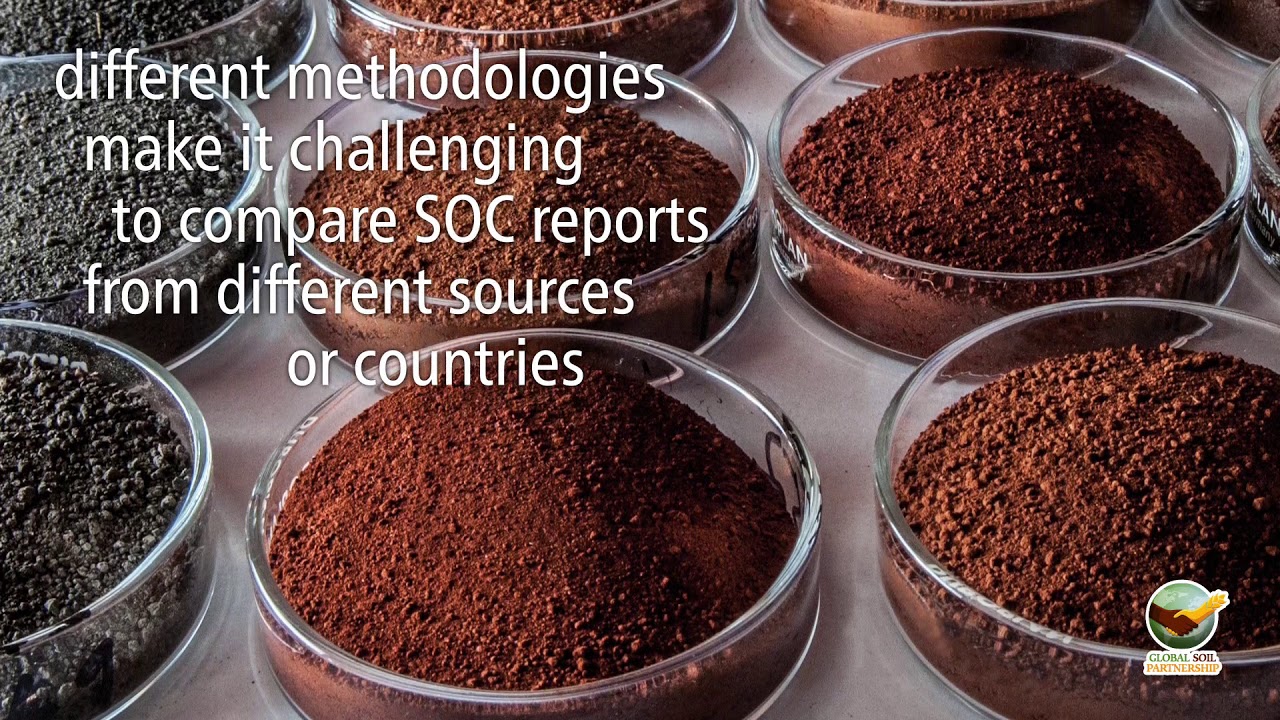 The Global Soil Organic Carbon Map V1.0