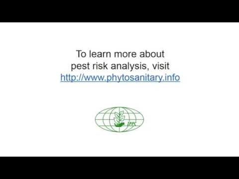 Pest Risk Analysis and Technical Justification (English)