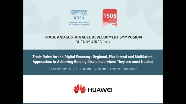 Trade Rules for the Digital Economy: regional, plurilateral and multilateral approaches