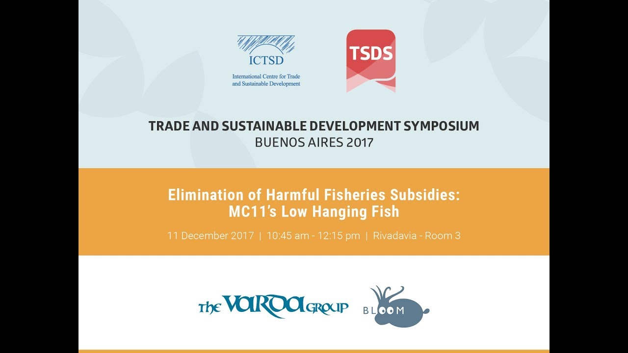 Elimination of harmful fisheries subsidies: MC11’s Low Hanging Fish