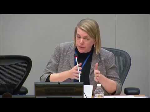 World Economic Situation and Prospects (WESP) Report 2018 – Press Conference