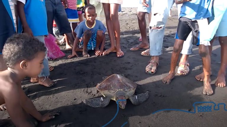 Perspectives sobre a Economia Azul e o Crescimento Azul