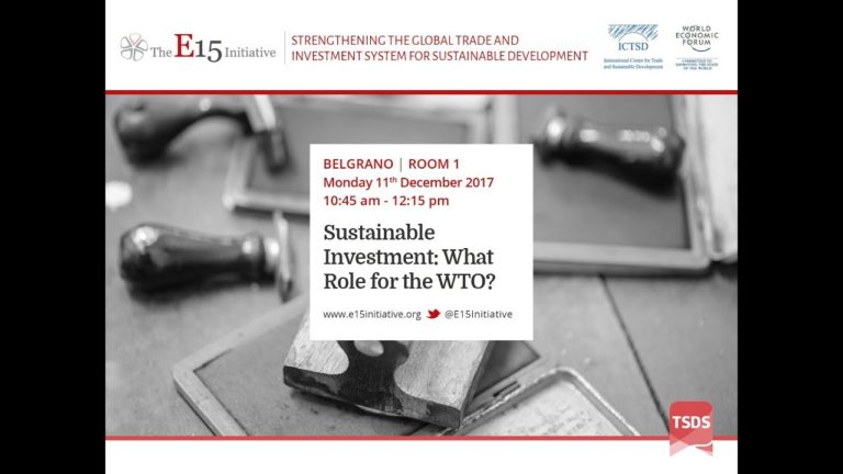 Sustainable Investment: What Role for the WTO?