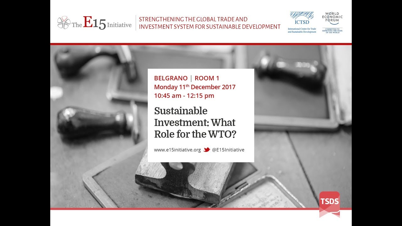 Sustainable Investment: What Role for the WTO?