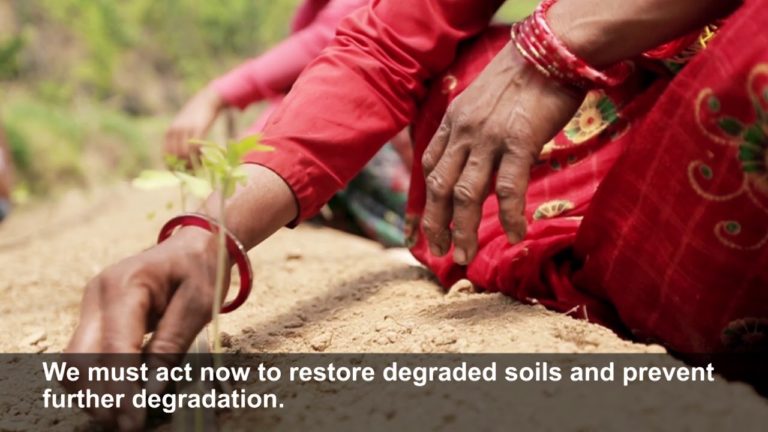 Soil carbon stocks are vital for food production and climate change mit…