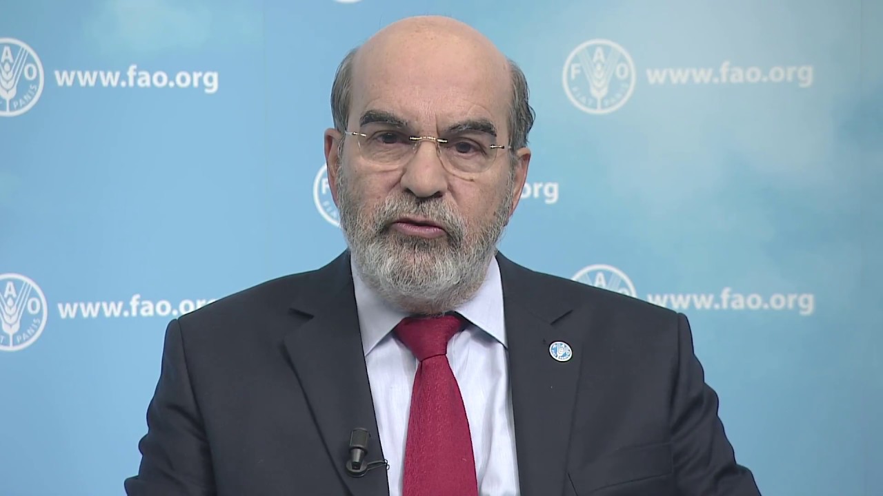 Launch of the Africa Regional Overview of the Food Security Nutrition r…