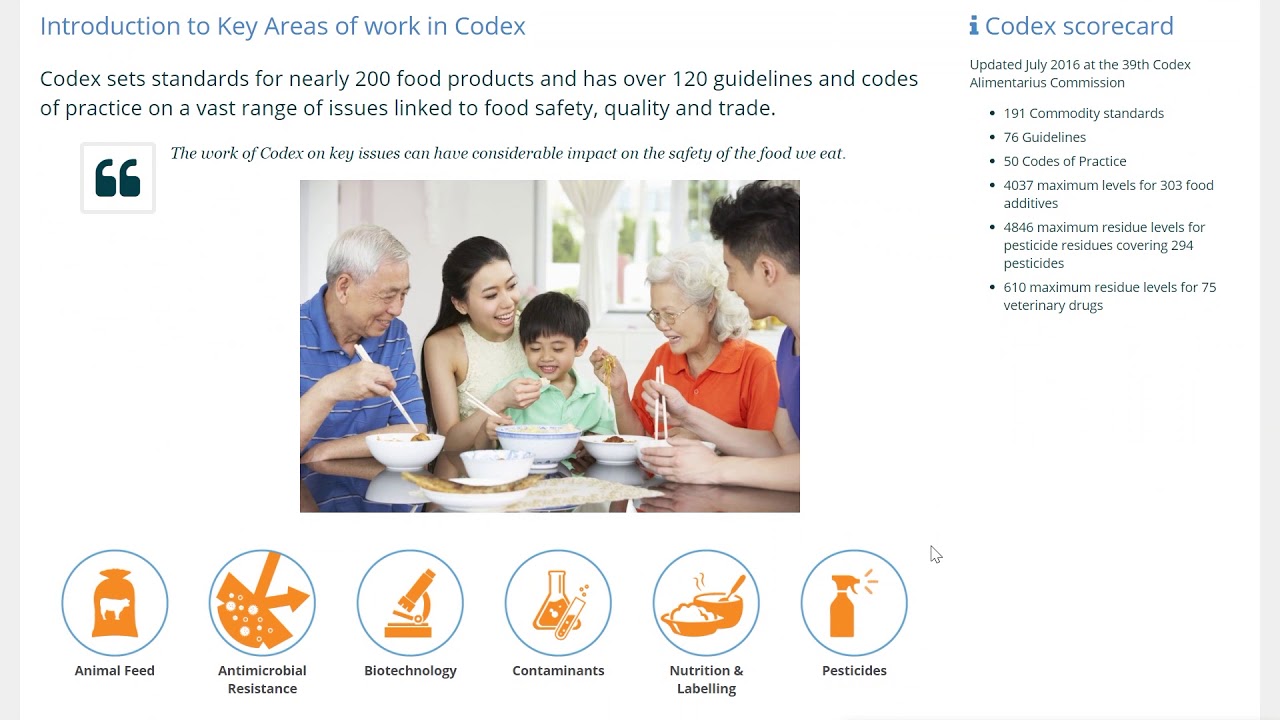 Codex launches new website