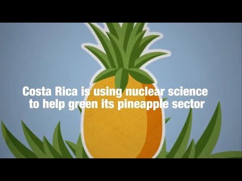 Costa Rica Paves the Way for Climate-Smart Agriculture