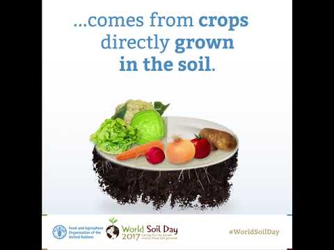 Food security and nutrition rely on healthy soils