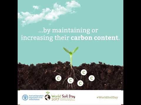 Healthy soils are our silent ally against climate change