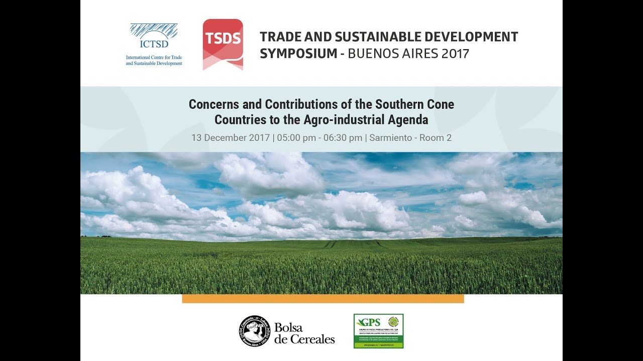 Concerns and Contributions of the Southern Cone Countries to the Agro-industrial Agenda