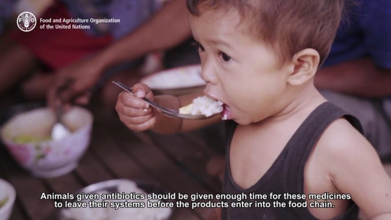 Consumers can help combat antimicrobial resistance