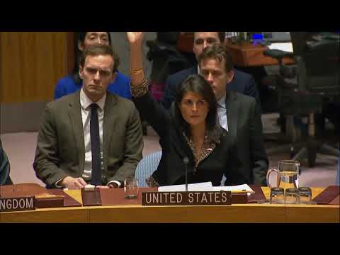 Security Council vote on draft resolution on Jerusalem