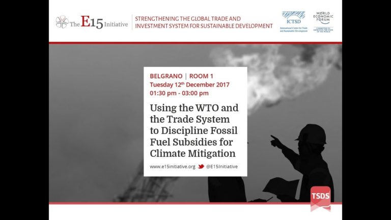 Using the WTO and the Trade System to Discipline Fossil Fuel Subsidies for Climate Mitigation