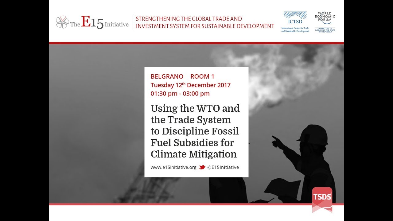 Using the WTO and the Trade System to Discipline Fossil Fuel Subsidies for Climate Mitigation