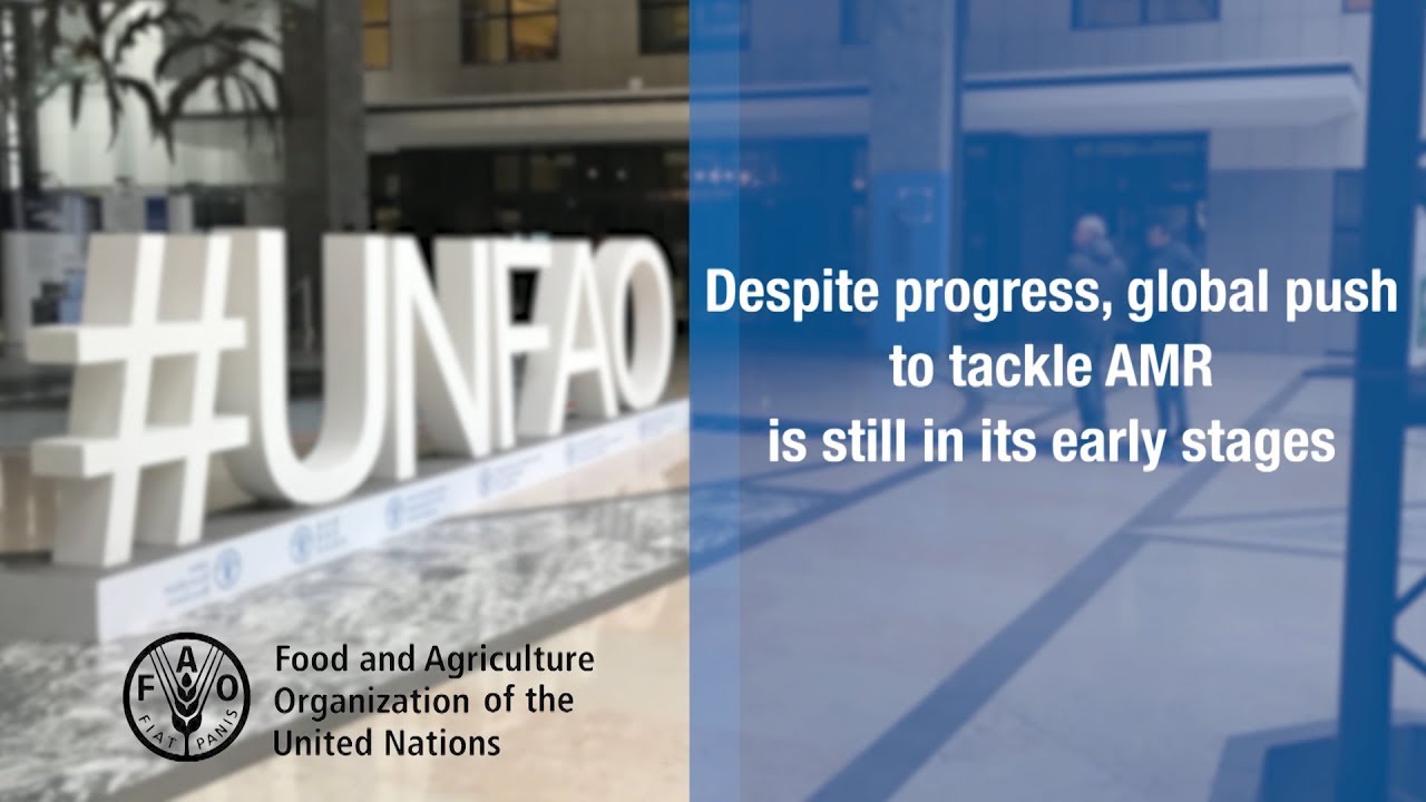 More countries acting to combat antimicrobial resistance in food and ag…