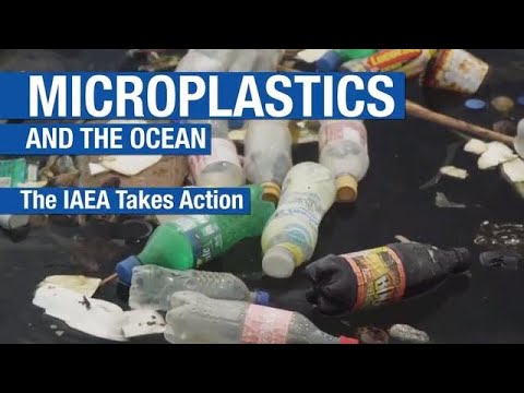 Microplastics And Marine Life
