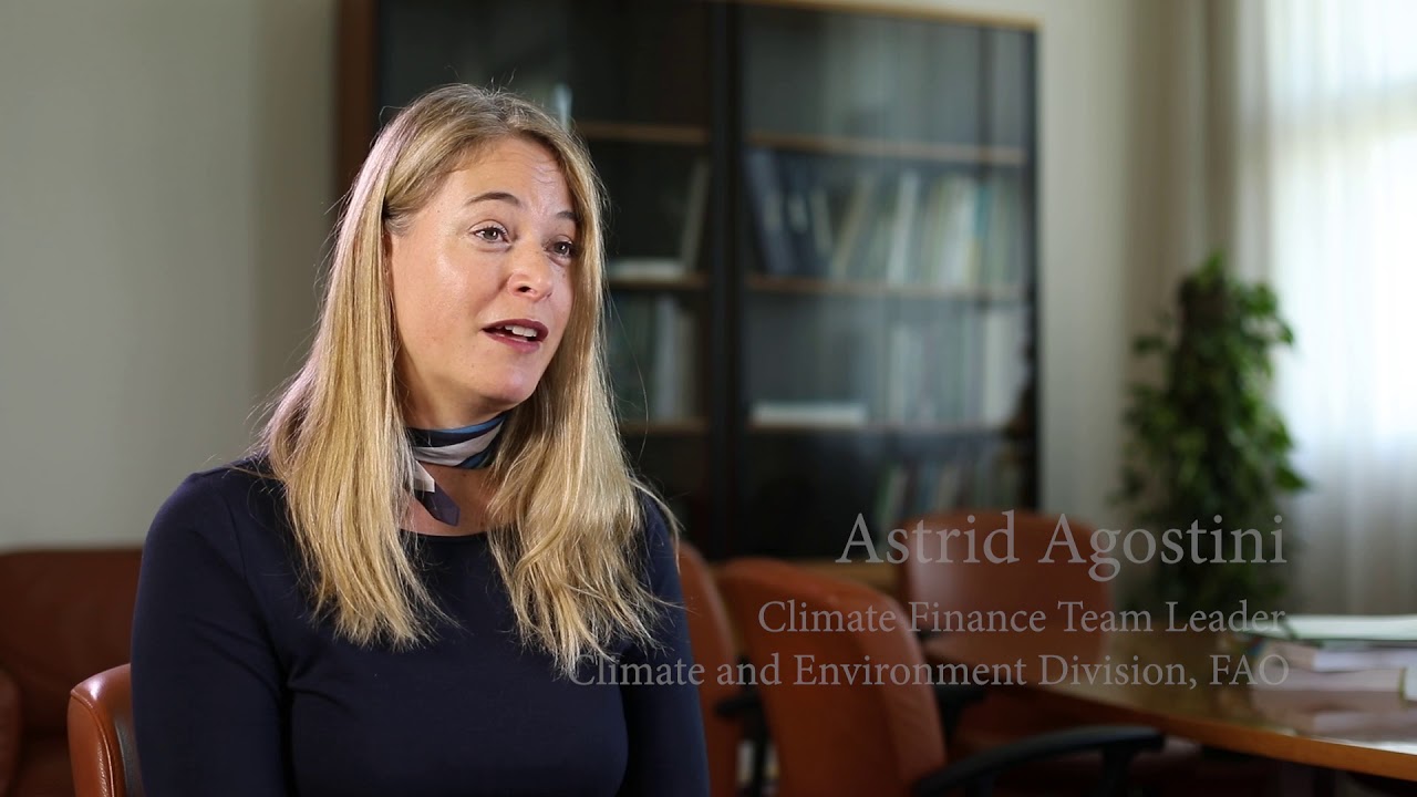 Clip | Investing in agriculture (Astrid Agostini)