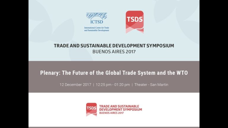 Plenary: The Future of the Global Trade System and the WTO