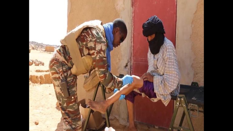 UN Peacekeeping in 2017