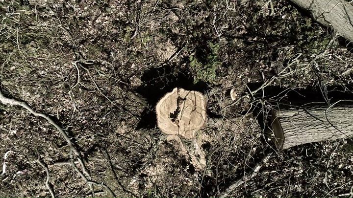 Global  #Wildlife Program is tackling the illegal  #wildlife…