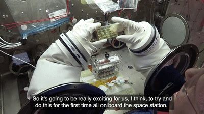 In Case You Missed It: We turned a possibility into a realit…